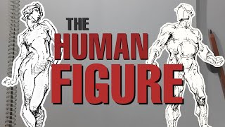 How to Draw the HUMAN FIGURE  Bridgmans Anatomy Drawing for All [upl. by Woody]