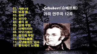 ♣Schubert슈베르트 가곡 연주곡 12곡 모음♣ [upl. by Edac527]