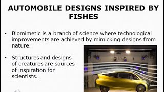 Boxfish Automobile Design Inspired by Fishes boxfish automobile design inspired fishes [upl. by Libyc]