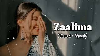 Zaalima SlowedReverb  Arijit Singh  Lofi Songs  lofimashup trendingmusic [upl. by Hennebery]