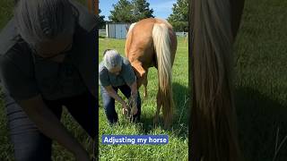 Loud pop 💥 on my horses fetlock animalchiropractic horse animalranchcare [upl. by Essam]