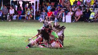 Oklahoma Indian Nations Powwow 2014 [upl. by Endaira]