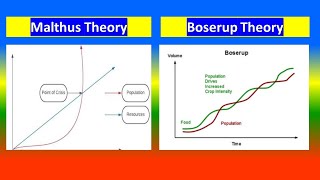 Malthus Theory and Boserup Theory [upl. by Atirhs]