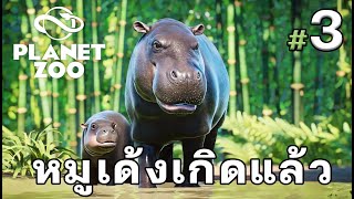 หมูเด้งเกิดแล้ว ฮิปโปแคระคลอดลูกแล้ว  Planet Zoo ตอนที่ 3 [upl. by Winsor]