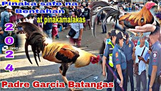 PinakaMALAKAS na BENTAHAN Ng MANOK sa Probinsya Ng BATANGAS padre Garcia batangas Feb 2024 [upl. by Enileqcaj]