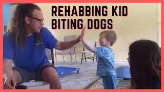 Dog bites kids how to rehab aggressive dog training [upl. by Einnaffit]