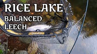 Rice Lake Balanced Leech [upl. by Nelubez]