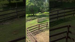 Hayloft view accidentalfarmer farming farmer  homesteading [upl. by Novled]