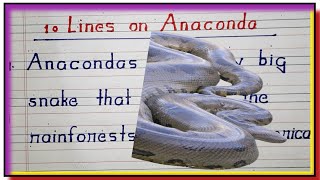 10 Lines on Anaconda  Essay on Anaconda Snake English  World Big Snake Essay on Big Snake English [upl. by Ailem]