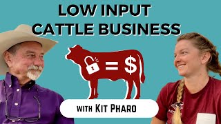 Low Input Cattle Business with Kit Pharo [upl. by Llerut645]