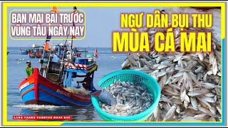 Ngư Dân BỘI THU MÙA CÁ MAI  BAN MAI BÃI TRƯỚC VŨNG TÀU NGÀY NAY  Cuộc Sống Vũng Tàu Ngày Nay [upl. by Okun]