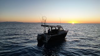 Seaking North Qld Boat Range  Aluminium Plate Boats [upl. by Milzie]