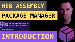 introduction to wapm webassembly package manager tutorial using wasmer assemblyscript and aswasi [upl. by Tiras]