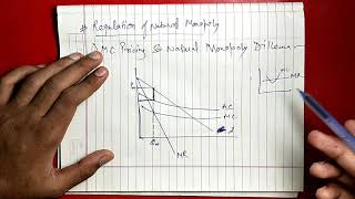 Regulation of natural monopoly Two tier pricing and effect of taxes Class 5 last [upl. by Lacram]