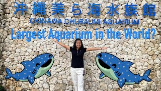 OKINAWA CHURAUMI AQUARIUM [upl. by Airun385]