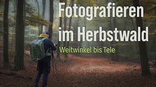 Fotografieren im Herbstwald Nebelbilder mit Weitwinkel und Teleobjektiv [upl. by Airamahs]