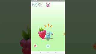 pokemon go gameplay D [upl. by Nodlehs]