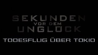 Sekunden vor dem Unglück  Todesflug über Tokio [upl. by Bonnee926]