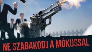 Misi Mókus beájulna  Squirrel with a Gun ► Ezzel Játszunk Újratöltve [upl. by Damara]