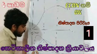 nishpadana piriweya  law of diminishing return in sinhalaකෙටිකාලීන නිෂ්පාදිතය හීනවන ඵලදා නීතිය [upl. by Ainoz432]