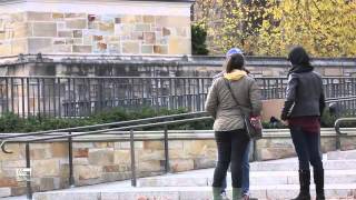 Yale students sign petition to repeal the first amendment [upl. by Ecydnarb]