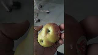 First time saw the twins apple [upl. by Maryly]