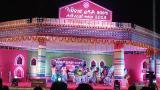 SANTALI DANCE at Adivasi MelaAdivasi Mela BhubaneswarDance video dance santalidance [upl. by Mannie]