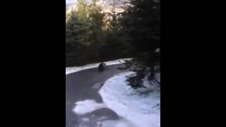 Man slides down driveway [upl. by Edeline306]