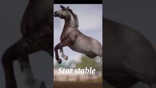 Star stable vs Real life horse starstable sso starstableonline reallife [upl. by Nitsraek]