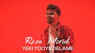 Reza Moridi  Yeki Tooye Delame I Teaser  رضا مریدی  یکی توی دلمه [upl. by Roderich]