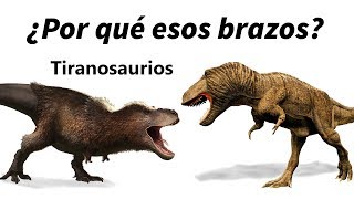 Los pequeños brazos de los tiranosaurios y otros de sus misterios [upl. by Bertrando337]