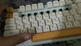 Lubed brown switches honey xda keycaps irok fe87 keyboard tape mod [upl. by Opiuuk38]