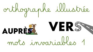 Orthographe illustrée  les mots invariables 1 [upl. by Aret]