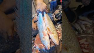 Amazing Poa Fish Cutting Skills In Bangladesh Fish Market By Expert Cutter shorts [upl. by Matless192]