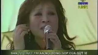 Thanh Thuy  MOT CHUYEN BAY DEM [upl. by Marijane369]