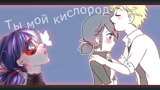 ЛедиБаг и Кот Нуар Ты мой кислород [upl. by Lemmor580]