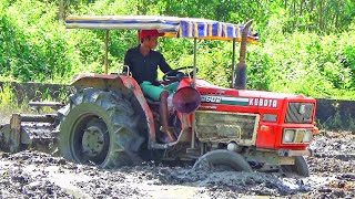 Máy cày nhỏ rống hết ga cày ruộng lầy miền tây  Kubota L2602 Tractor LADY [upl. by Anrahc672]