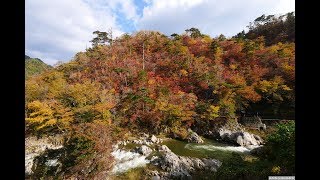 JG 4K HDR 福島 夏井川渓谷の紅葉 Natsuigawa ValleyFukushima [upl. by Engis]