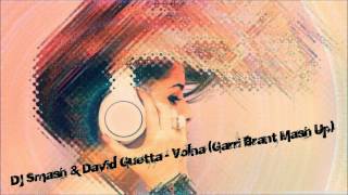 Dj Smash amp David Guetta  Volna Garri Brant Mash Up [upl. by Yroffej519]