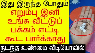 எறும்பு இனி உங்க வீட்டுப் பக்கம் எட்டி கூட பார்க்காது  erumbu varamal iruka  Ant killing tips [upl. by Arundel]