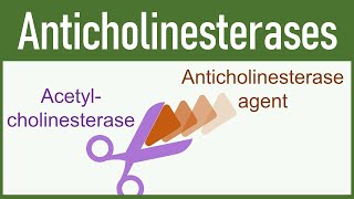 anticholinesterase poisoning [upl. by Hauser624]