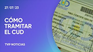 Cómo obtener el Certificado Único de Discapacidad [upl. by Nichols]