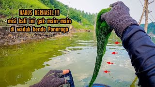 HARUS BERHASIL‼️TRIP KALI INI GAK MAINMAIN  mancing ikan nila di waduk bendo ponorogo [upl. by Elsbeth]