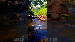 Chinna ponnu selai  whatsapp status tamil  mambattiyan  prasanth  Meera jasmine  love [upl. by Sitoiyanap]