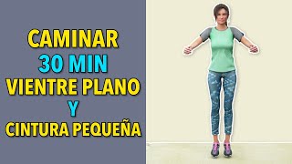 30 Min de Cardio de Pie Caminata Para un Vientre Plano y una Cintura Pequeña [upl. by Romola]