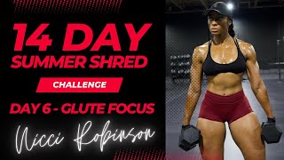 14 Day Summer Shred Challenge  Day 6 [upl. by Nerraj]