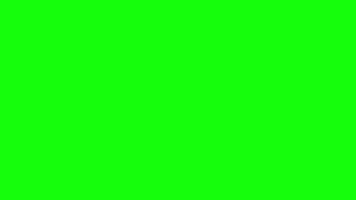 Green Screen  A Screen Of Pure Green For 10 Hours  Background  Backdrop  Screensaver  Full HD [upl. by Gris]