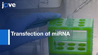 Transfection of miRNA in Cells by Next Generation Electroporation  Protocol Preview [upl. by Beaver]