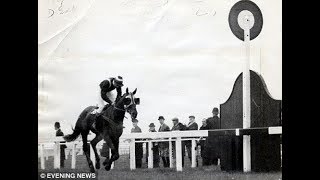 The BBC Grand National 1967  Foinavon Full Race [upl. by Hull]