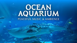 🦈 Ocean Aquarium  Underwater Ambience with Peaceful Music for Study Sleep and Relaxing [upl. by Sire]